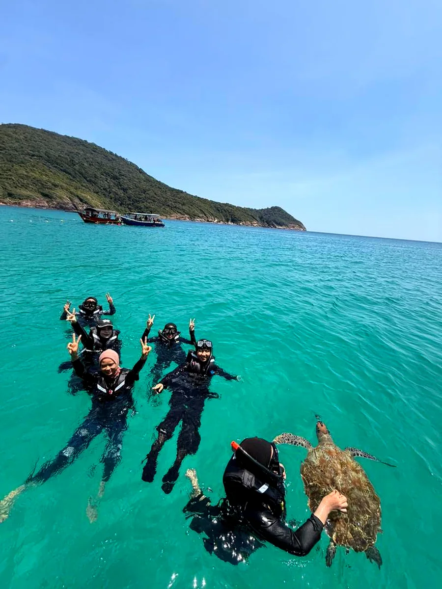 Redang Island sea turtle encounter gentle giants Turtle Point